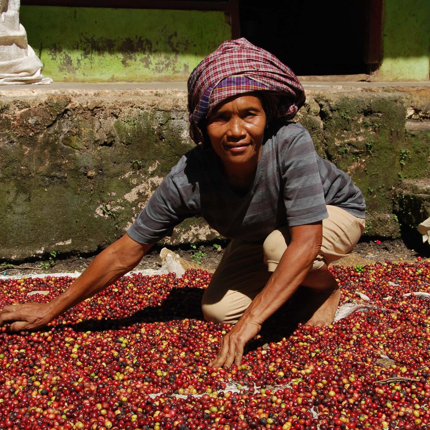 Sumatra Kokowa Gayo Supereme