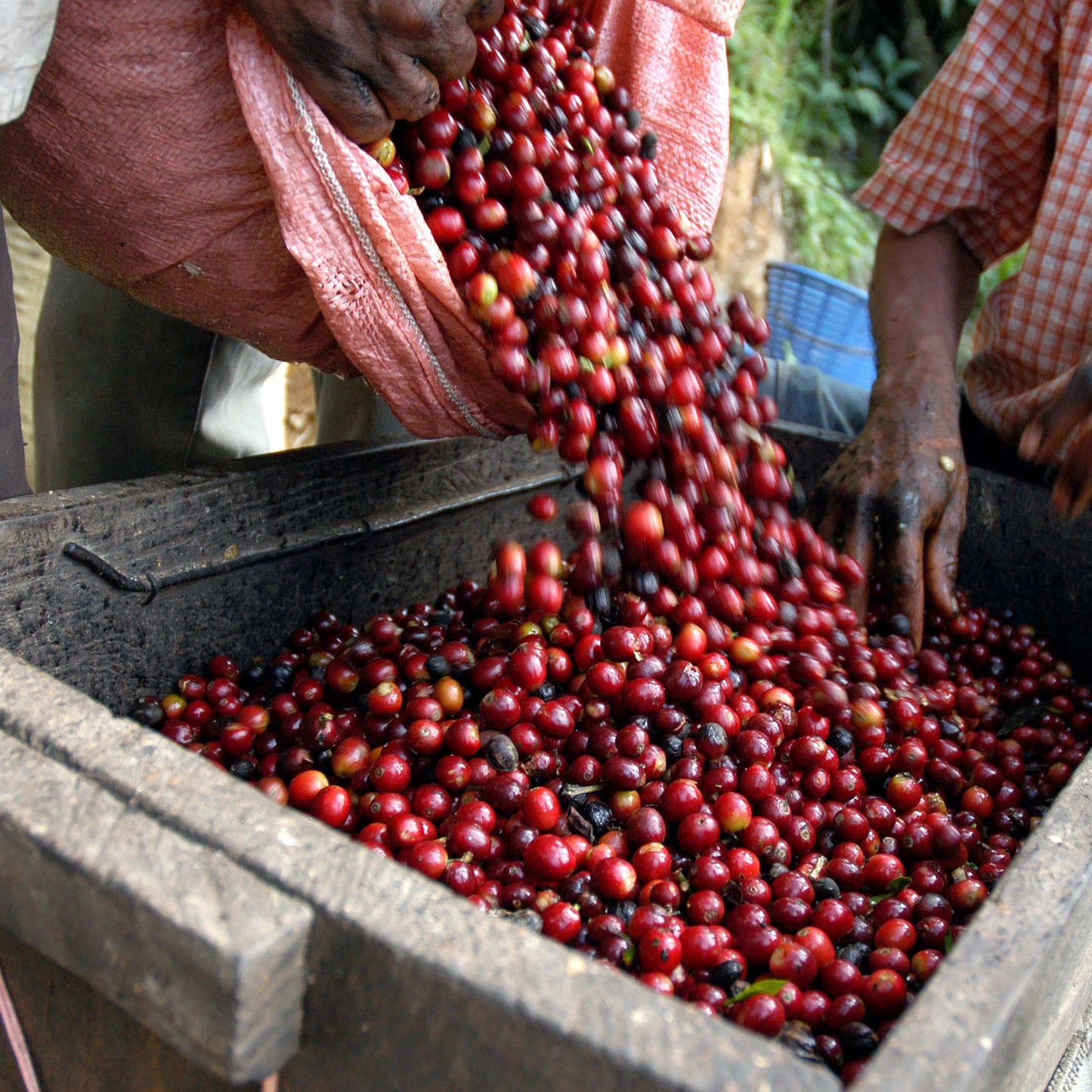 Guatemala Huehuetenango El Injertal